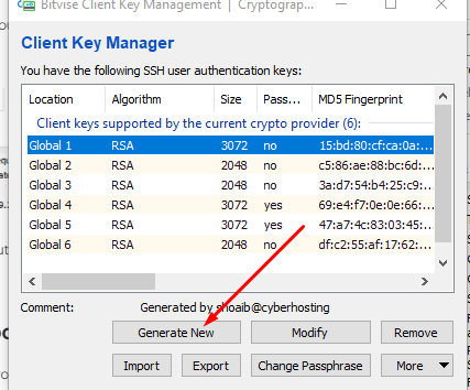 Configuring public key authentication with Bitvise SSH Client
