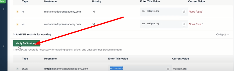 Verify DNS