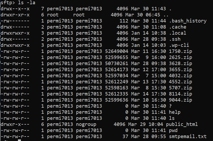 sftp file transfer